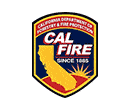 California Department Of Forrestry Fire Protection Badge